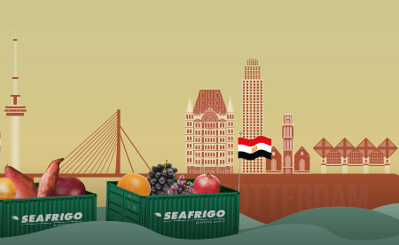 Import of seasonal products from Egypt with Seafrigo