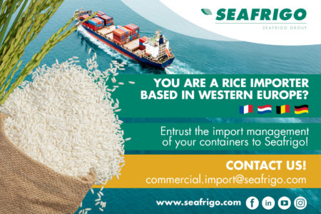 Importation d’oignons en Europe Occidentale avec Seafrigo !