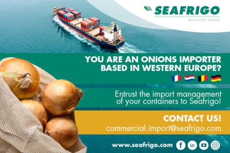 Importing onions in Western Europe with Seafrigo!